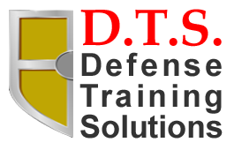 Defense Training Solutions, LLC. - Homestead Business Directory